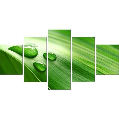 5 Pieces Free Shipping Drops green leaf Modern Paintings for Living Room Wall Art Print Canvas Picture Decorations Framed