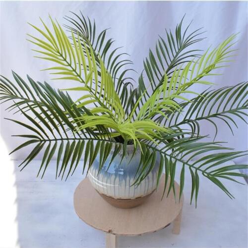 Jiumengya Products For The Garden And Vegetable Garden
