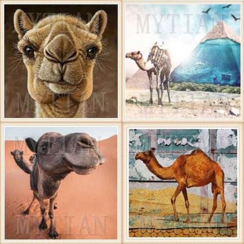 5d Diamond Painting Camel Head Full Square/round Animal Pattern 3d Diamond Mosaic Rhinestone Embroidery Sticker Decor art gift