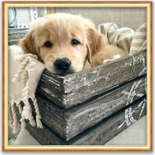 Animal Golden Retriever DIY Embroidery 11CT Cross Stitch Kits Needlework Craft Set Printed Canvas Cotton Thread Home Decoration