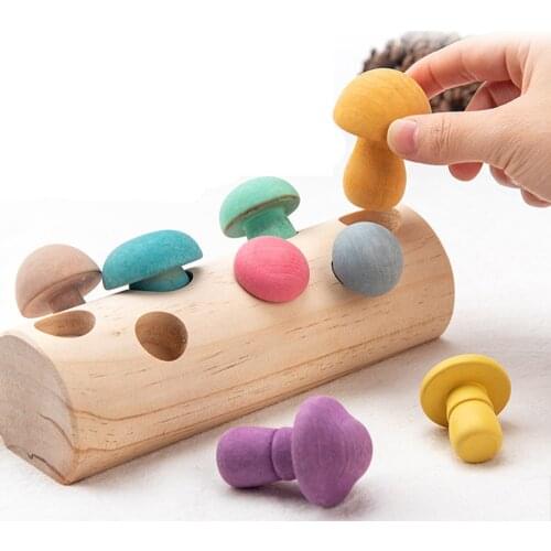 Wooden Montessori Toys Set for Kids 2 Years Old Simulation Mushroom Picking Game Matching Size Cognition Educational Math Toy
