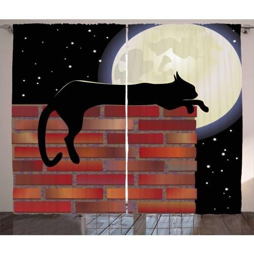 Street Cat Curtains Sleeping on Brick Wall at Night Satin Fabric Drapes for Living Room Bedroom 2 Panel Window Set