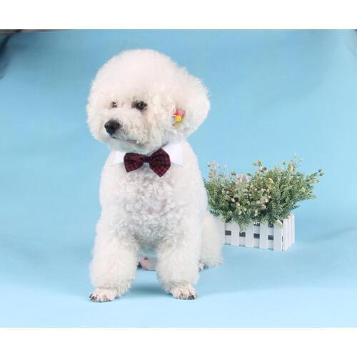 60pcs/lot Lovely Dog Puppy Cat Kitten Pet Bow Tie Necktie Adjustable Tie Pet Collars Necklace Pet Collar Accessories