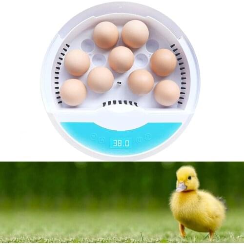 HHD 9 Egg Farm Hatchery Incubator Brooder Machine Hatcher Mini Household Chicken Automatic Eggs Incubator Bird Quail Brooder