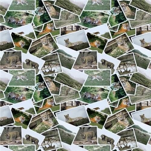 Spandex swimsuit stretch fabric bikini custom stretch digital printing tiger pattern DIY clothes sewing fabric