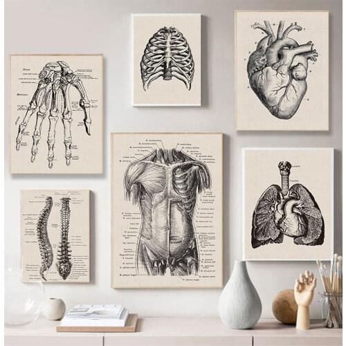 Nordic Canvas Print Education Painting Modern Decor Human Anatomy Artwork Medical Wall Picture Muscle Skeleton Vintage Poster