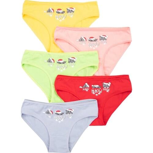 Happy Fox Underwear For Babies