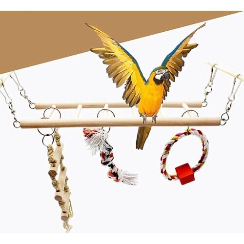 Zerodis Check Accessories