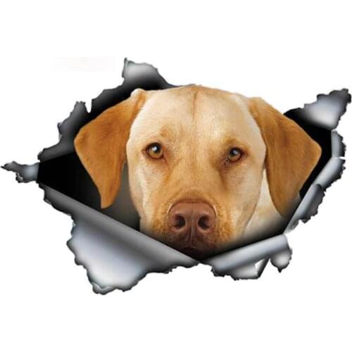 Personality Yellow Lab Car Sticker Torn Pet Dog Decal Motorcycle Car Bumper Decor Labrador Graphic Apply To Car Window