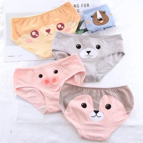 Cotton Kids Panties Cartoon Girls Panties Print Seamless Briefs for Young Girl Underwear Teens Panties Breathable Teenage Briefs