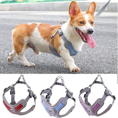 Pet Dog Breast Strap Products New Small And Medium-Sized Dogs Reflective Adjustable Anti-Stroke Leash Vest Harnesses