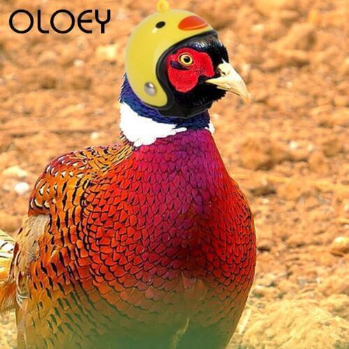 Pet Chicken Helmet Small Pet Hard Hat Protect Cap Bird Duck Headgear Pet Helmets Toy Head Helmet Accessories Pet Supplies