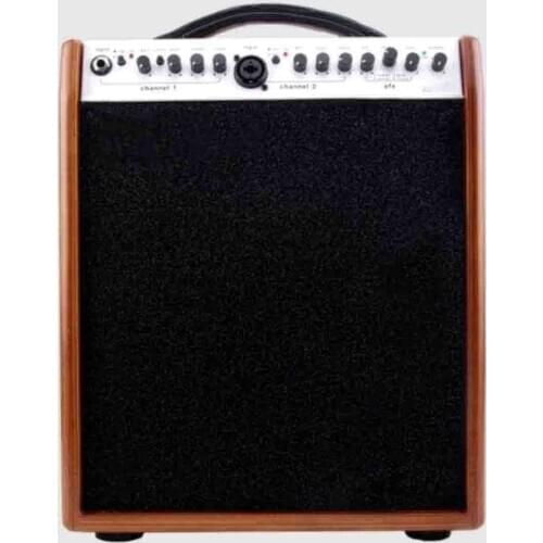 Custom 8" Tweeter Acoustic Guitar Amplifier 60W with Two Channels Musical Instruments