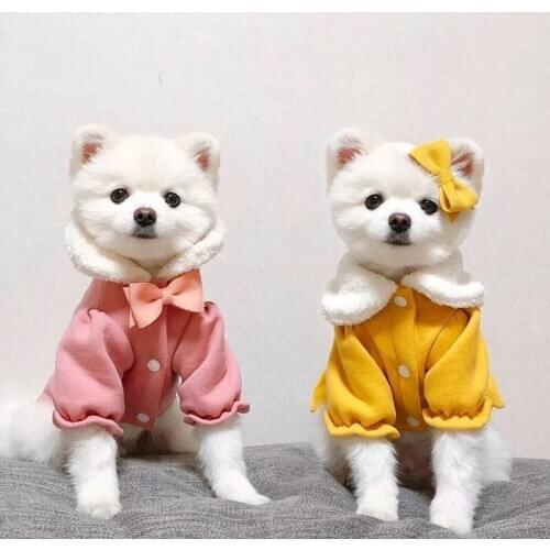 Winter Warm Pet Dog Clothes Cotton Coat for Dog Cat Clothing for Small Medium Dogs Costume Hoodies French Bulldog Yorkie Clothes