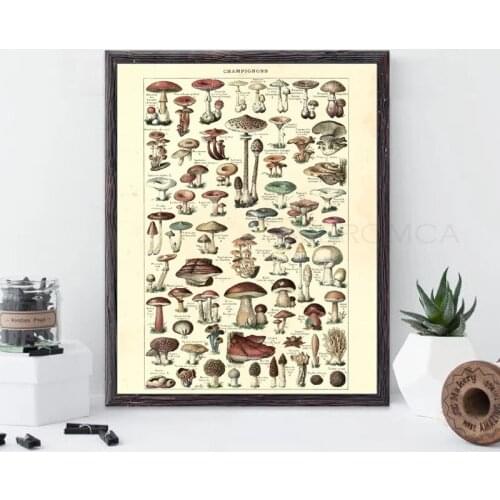 Antique Botanical Prints Mushroom Poster French Version Educational Vintage Wall Art Canvas Painting Picture Home Wall Decor