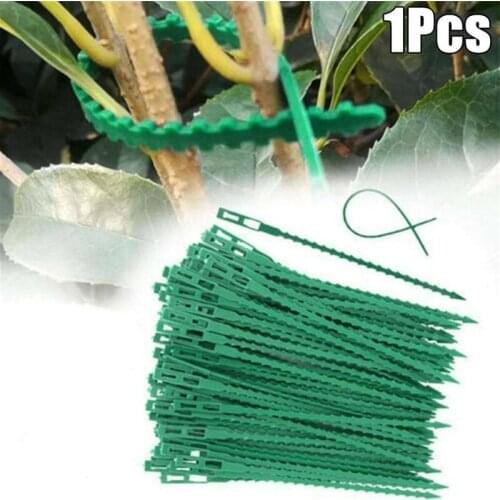 100pcs/lot Reusable Garden Cable Ties Plant Support Shrubs Fastener Tree Locking Nylon Adjustable Plastic Cable Ties Tools
