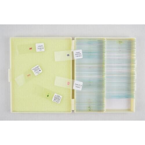 200pcs Human Pathology Slides Microscope Glass Slides Prepared Biological slides Cover Slips in Wood Box