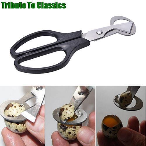 Hot Sale Pigeon Quail Egg Scissor Bird Cutter Opener Kitchen Tool Clipper