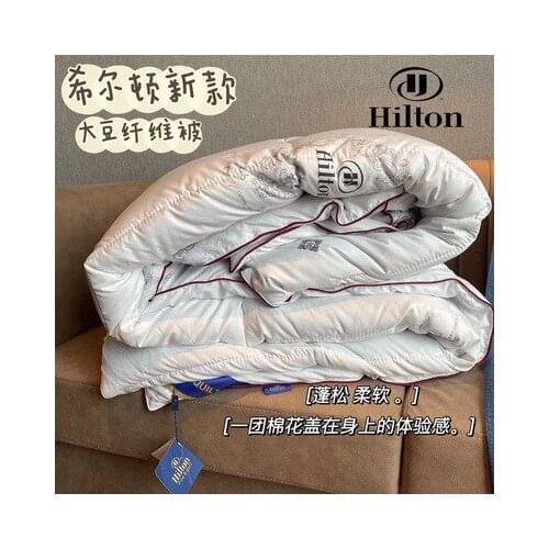 New Hotel quilt Hilton duvet double spring autumn and winter is thickened quilt core duvet