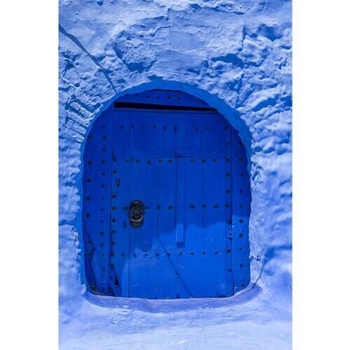 Blue Brick Wall Wooden Wall Photography Backdrop Customized Background for Portrait Children Baby Pets Photoshoot Fond Photo