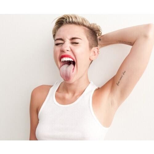 Home Decor Miley Cyrus Music Star- Silk Art Poster Wall Sicker Decoration Gift