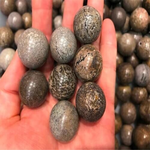 Madagascar natural dinosaur bone fossil ball paleontological bone fossil ball piece