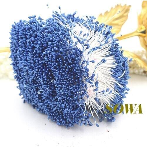 Free shipping 1mm 900pcs/Lot Double Head Light Blue Flower Pearl Stamen Cake Decoration Craft DIY