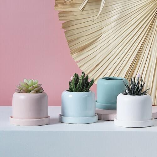 Candy Color Plant pot with Tray lithops pots for home fioriere da esterno Mini maceta bonsai desk decor Flowerpot maceteros pink