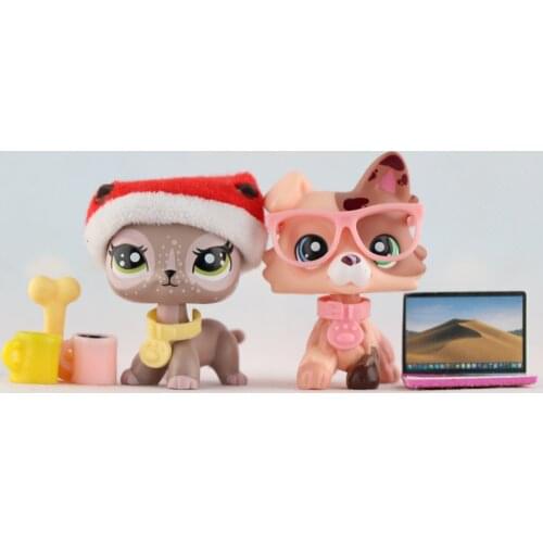 Pet Shop New Collie And Short Hair Cat with Green Eyes With Accessories Lot Collection