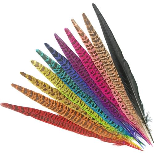 Wholesale Female Pheasant Tail Feathers Holiday Decorations Natural Feathers for Jewelry Making Carnival Plumas Indian Headdress
