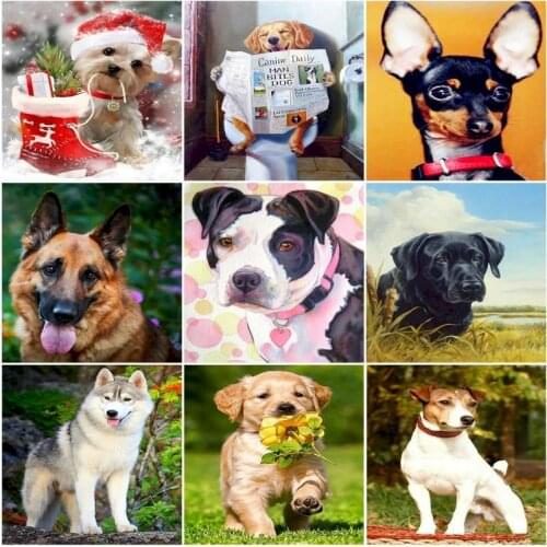 Dog Diy Oil Painting By Numbers Kits Animals Hand Painted Drawing Canvas Frame Adult Number Painting Wall Art Home Decor Picture