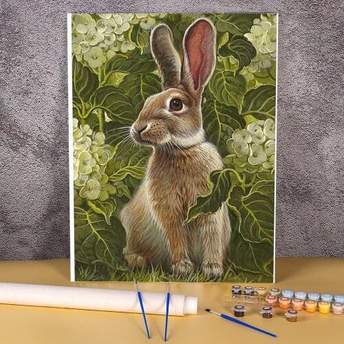 Animal Rabbit Coloring By Numbers Painting Kit Oil Paints 50*70 Picture By Numbers Photo New Design For Wholesale