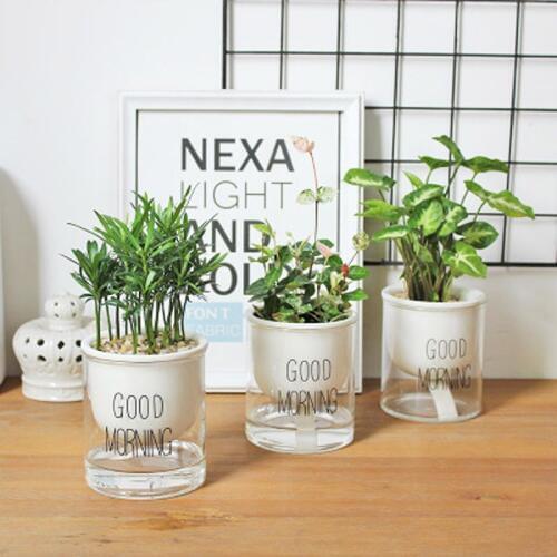 Automatic Watering Planter Pot Ceramic Flowerpot with Glass Water Container for Green Plants Succulent More meat Plant Cactus