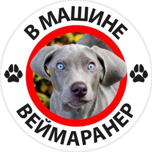 B0298# 10/13/15 cm Weimaraner In the Car Self-adhesive Decal Car Sticker Waterproof Auto Decors on Bumper Rear Window
