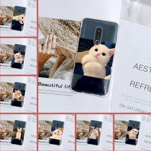 Soft Phone Case For Meizu 15 Lite 16 Plus 16th 16x Silicone Kawaii Cat Cute Animal Back Cover For Meizu Pro 6 7 Plus U10 U20