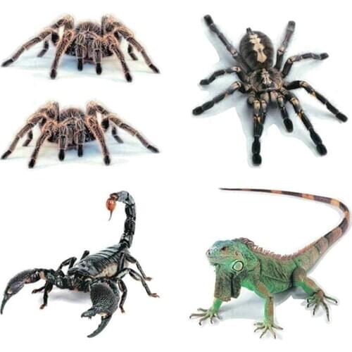 3D Scorpion Animal Print Car Auto Trunk Body Bumper Window Decor Decals Sticker Exterior Auto Stickers