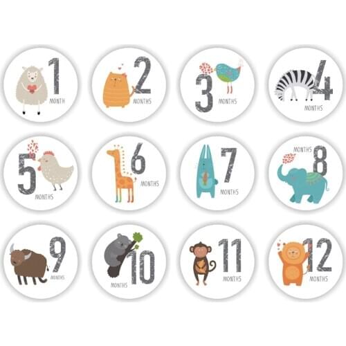12 Pcs Baby Pregnant Monthly Stickers Memory Recording Milestone Sticker Props M76C