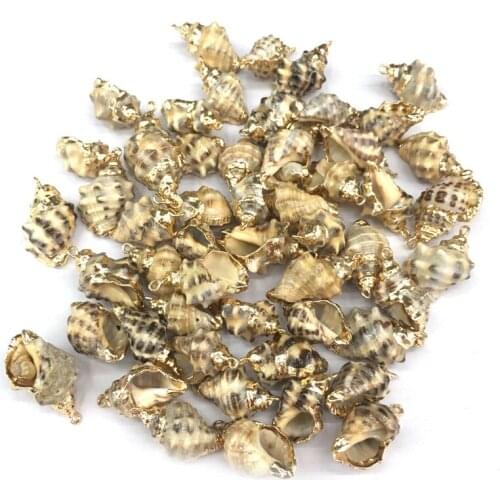 2020 5pcs New Ladies DIY Bracelet Necklace Pendant Jewelry Conch Shaped Gold Shell Pendant Necklace Size 13x20-15x25mm