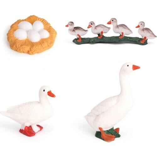 Newborn Baby Montessori Simulation Animal Growth Process Children Early Educational Biological Animal Model Christmas GIfts