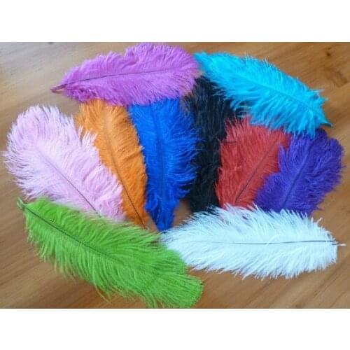 100pcs/lot Natural Dyed Ostrich Feathers 10-12inch/25-30cm variety of colors FRESHIPPING
