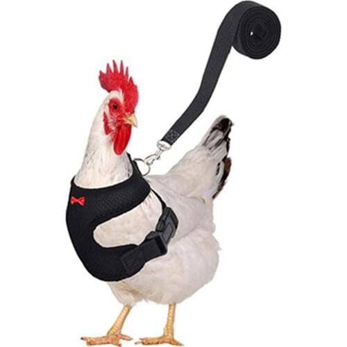 Pet Collar Necklace Adjustable Chicken Harness With Leash Breathable Pet Vest For Hen Farm Animal Supplies Farm Animals Chicken