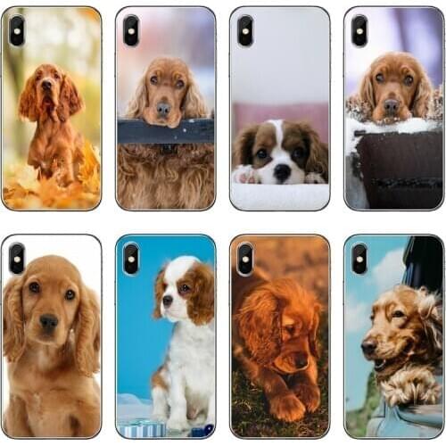 Spaniels Dog Puppies Accessories Phone Case For Huawei P30 P20 Pro P10 P9 P8 Lite Y5 Y6 Y7 Y9 P Smart Plus 2018 2019