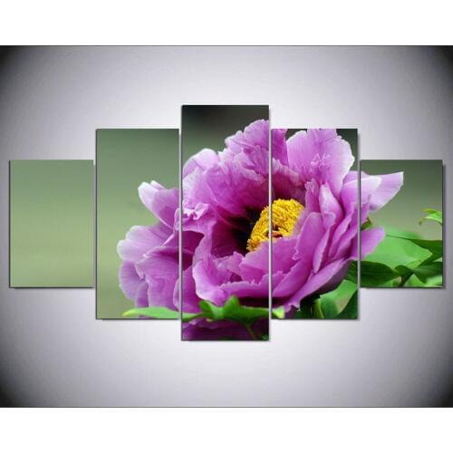 HD Print 5 Pcs canvas art flower painting modern home decor wall art pictures living room decor print Painting IM-319