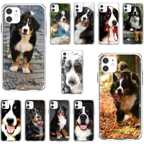 For Xiaomi mi Redmi Note 3 4 4X 5 6 7 8 8t 9 9s 9t 10 pro lite Bernese-Mountain-Dog-puppy-Berner-Sennen Soft Silicone Case