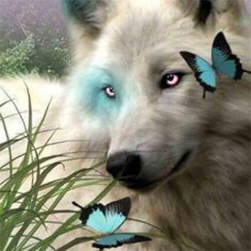 Full Square Round Diamond 5D DIY Diamond Painting "Animal Wolf" Embroidery Cross Stitch Rhinestone Mosaic Painting Decor Gift