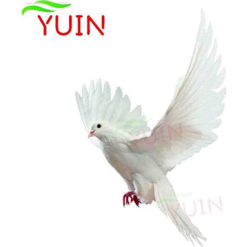 Fashion Birds Dove Colored Decor Car Sticker Cute Animal Decal Body Parts Bumper Window Waterproof Anti-UV Stickers 15*12cm