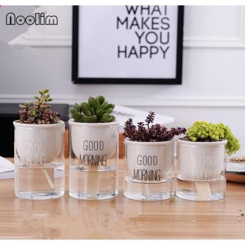 Creative Automatic Water Absorption Succulents Flower Pot Ceramic Flowerpot with Glass Base Green Plants Container Home Decor