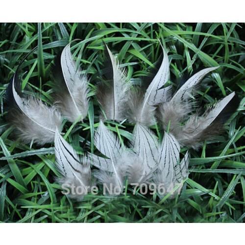 100Pcs/Lot! 5-10cm Pheasant Feathers, Natural Black&white Silver Pheasant Plumage Feathers,Feathers Natural