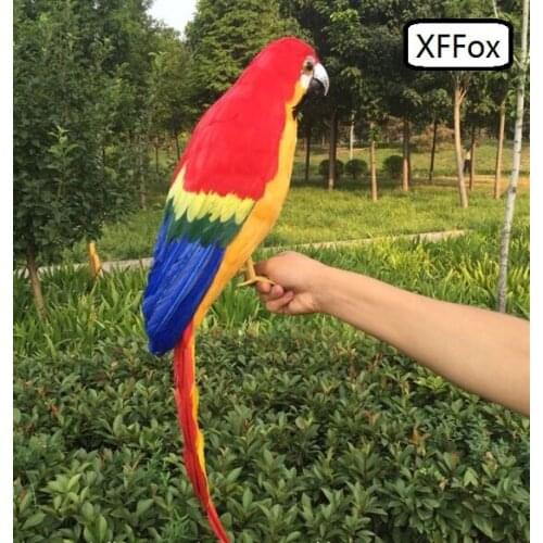 Big real life red&orange parrot model foam&feather simulation large parrot bird gift about 65cm xf0233