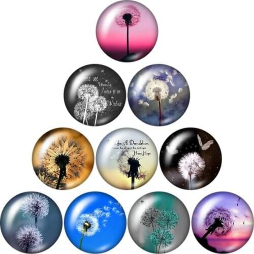 Dandelion Beauty Flowers Colorful 10pcs mixed 12mm/16mm/18mm/25mm Round photo glass cabochondemoflat back Making findings